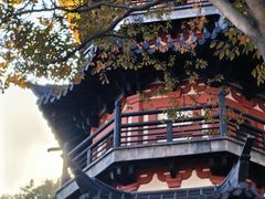 -上海佘山国家森林公园西佘山园