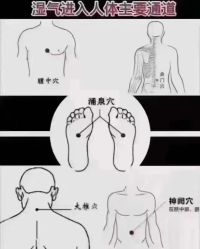 -苗塑堂减肥艾灸