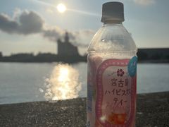 -上野德国文化村