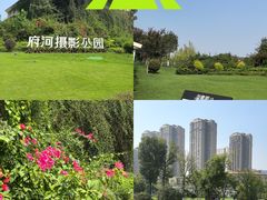 -府河摄影公园