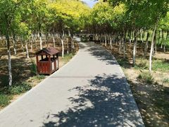 -西青郊野公园