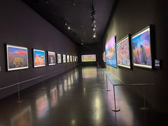 -罗红摄影艺术馆