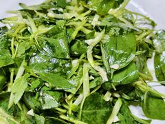 凉拌荆芥-伊犁羊杂馆