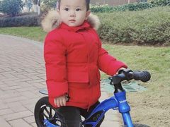 -稚马儿童平衡车自行车俱乐部