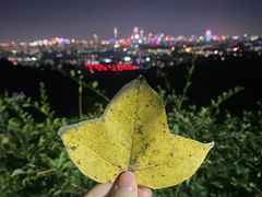 -火炉山森林公园