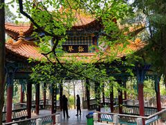 -昆明动物园
