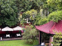 -翠园十八号庭院餐厅