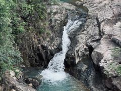 -广州白江湖森林公园