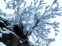 -秦岭终南山世界地质公园翠华山景区