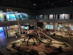 -自贡恐龙博物馆