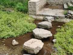 -白水寺森林公园