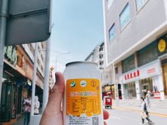 -德禄酸奶(莫家街店)