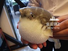 -肆月河豚·新淮扬(金融街店)