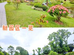 -东莞植物园