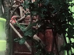 -吃货私房菜(丽江束河古镇店)