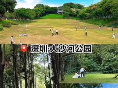 -大沙河公园