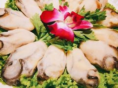 阳江外海爆浆生蚝-锦城印象火锅(天府三街店)