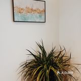 过去玩的姐妹一定要去打卡天空之镜哦！