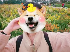 -白鹭湾湿地公园