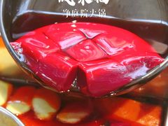 鲜鸭血-凤来栖·净庭院·火锅(欧尚店)