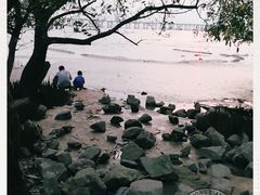 -宝安西湾红树林湿地公园