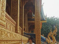 -西双版纳勐泐文化旅游区