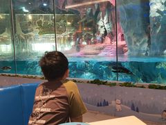 -帝企鹅自助餐厅•儿童岛•真企鹅(长隆企鹅酒店)