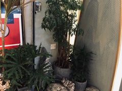 -茶理宜世(东方宝泰店)