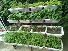 -二荆条·蜀鲜汇城市森林火锅