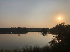 -大湾区中央湿地公园