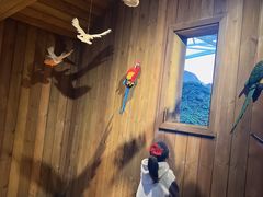 -杭州开元森泊度假乐园