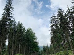 -硗碛藏寨·神木垒景区