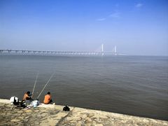 -上海长兴岛郊野公园