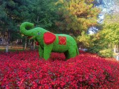 -长白岛森林公园