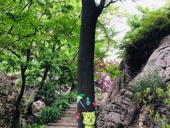 -秦岭终南山世界地质公园翠华山景区