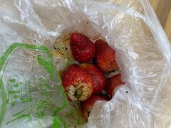 -雪儿钱局泡菜