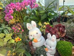 -北京植物园-展览温室