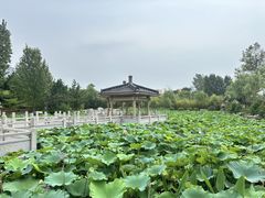 -福如东海文化园