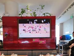 -老板恋上鱼(恒隆广场店)