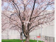 -栖露营camping·天幕烧烤·团建拓展·采摘营地
