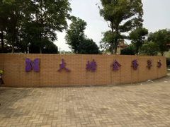 -大塘金香草谷