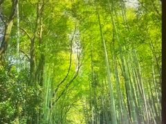 -故乡缘·香格里拉山庄(冷竹路店)