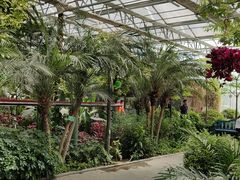 -南宫五洲植物乐园