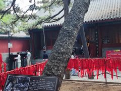 景点-红螺寺