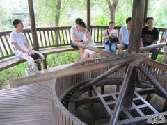 -溱湖国家湿地公园