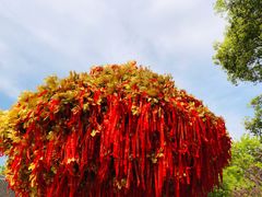 -狼山风景名胜区