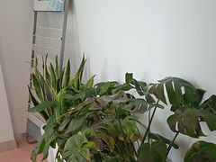 -上海仁爱医院