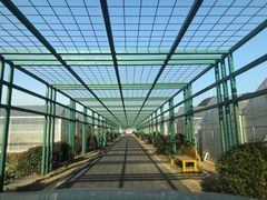 -建德果蔬乐园绪塘草莓基地