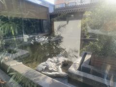 -竹雨堂创意中国菜(裕华店)