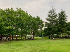 -两河城市森林公园